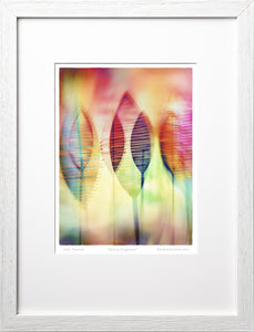 Bardo print - SPRING FRAGRANCE - Premium ПОДАРЪЧЕН КОМПЛЕКТ SPRING FRAGRANCE from BARDO ART WORKS - Just lvbag, black, frame, handemade, spring fragrance, woman58.00! Shop now at BARDO ART WORKS